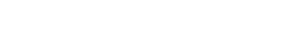 TikTok Ads
